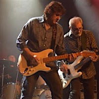 Sean Chambers & the Savoy Brown Rhythm Section at the 443 Social Club