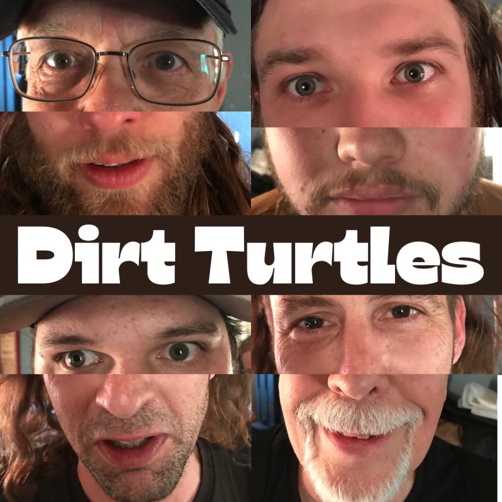Dirt Turtles